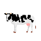 mastitis vaca